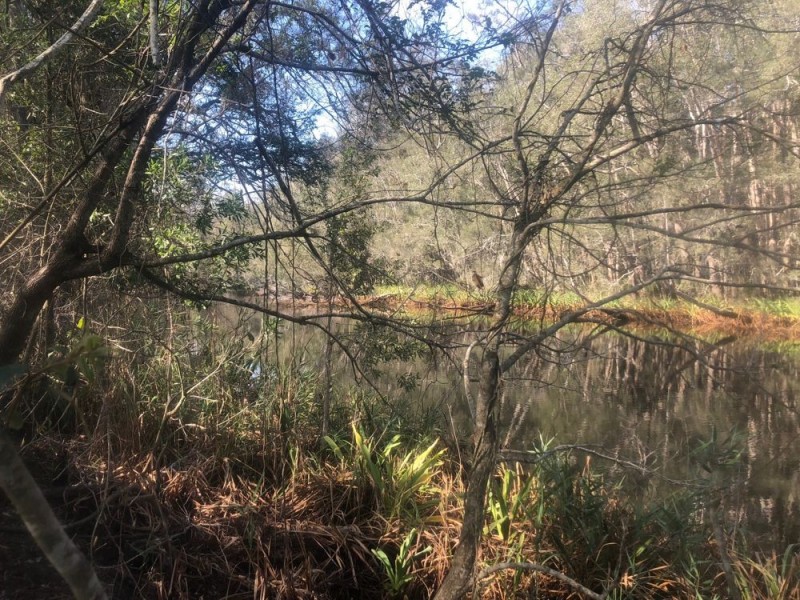 Lot 52 of 583 Maria River Road, Crescent Head NSW 2440