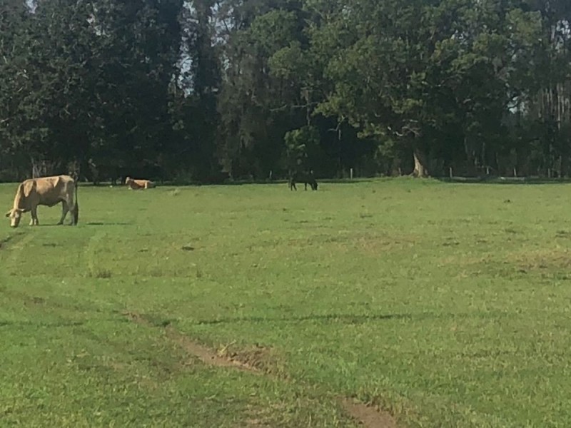 Lot 356 of 583 Maria River Road, Crescent Head NSW 2440