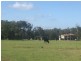 Crescent Head NSW 2440