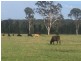Crescent Head NSW 2440