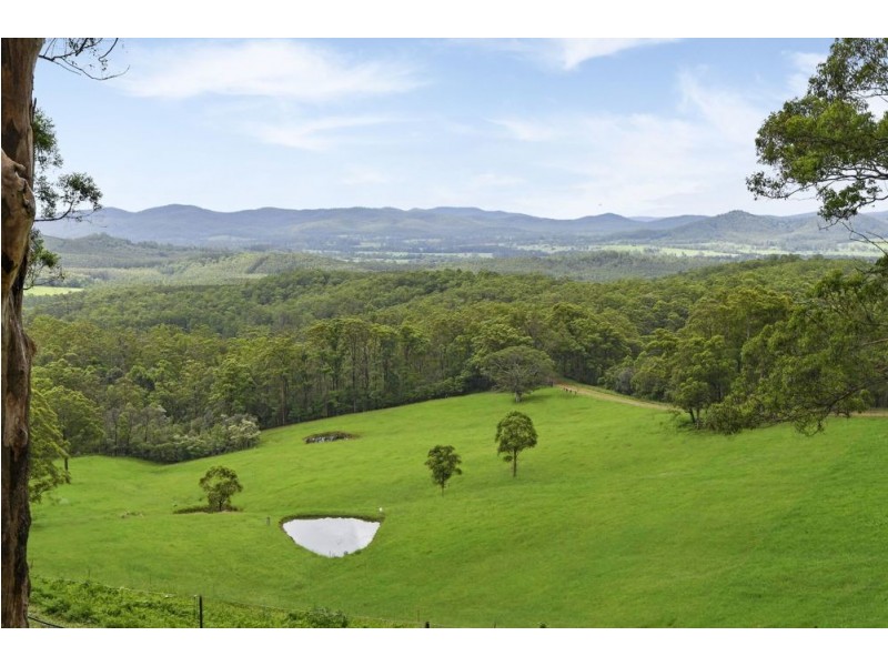 Rollands Plains NSW 2441