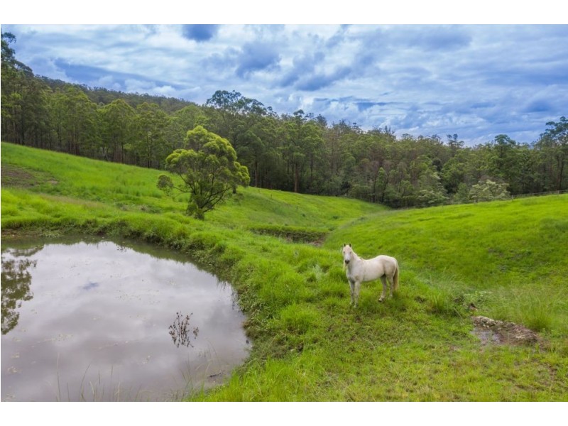 Rollands Plains NSW 2441