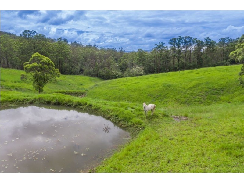 Rollands Plains NSW 2441