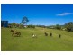 657 Newee Creek Road, Macksville NSW 2447