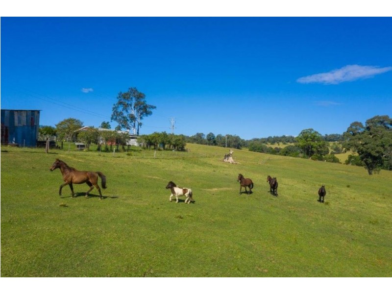 657 Newee Creek Road, Macksville NSW 2447