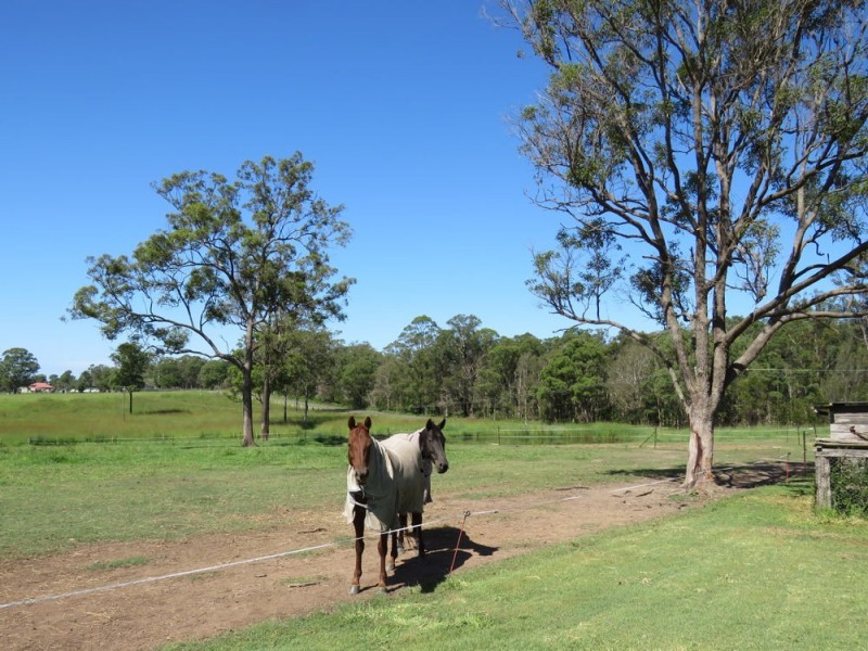 37 Raymonds Lane, Frederickton NSW 2440