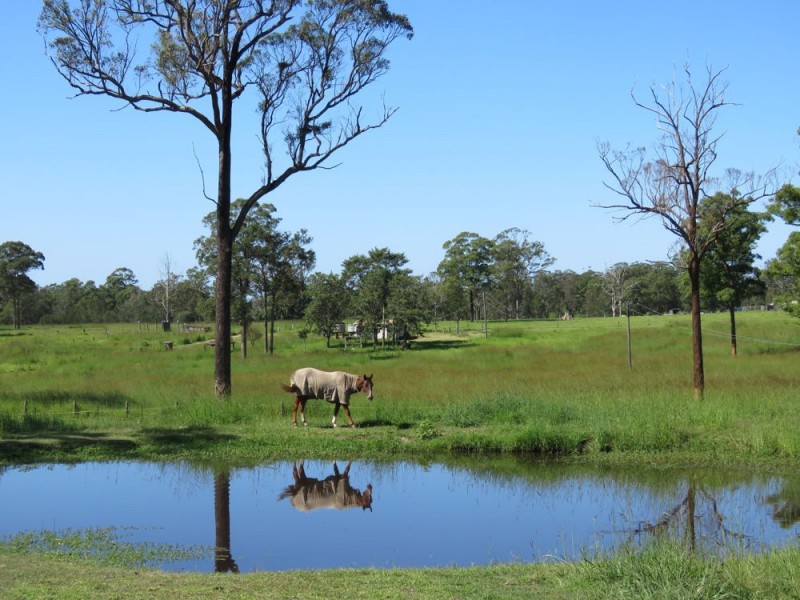 37 Raymonds Lane, Frederickton NSW 2440