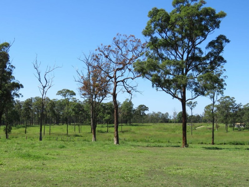 37 Raymonds Lane, Frederickton NSW 2440