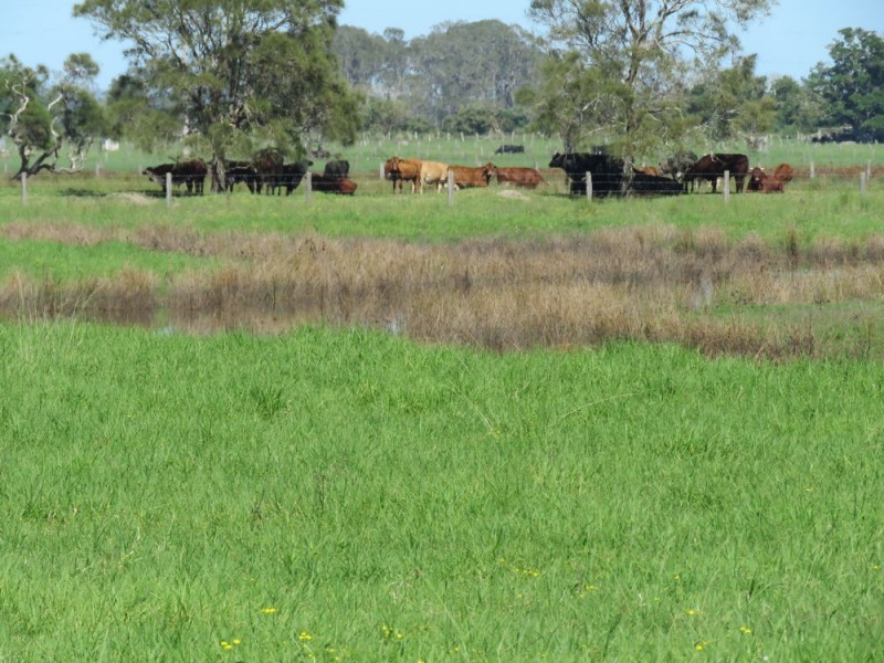 742 Hat head Rd, Kinchela NSW 2440