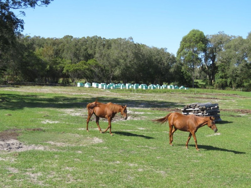 742 Hat head Rd, Kinchela NSW 2440