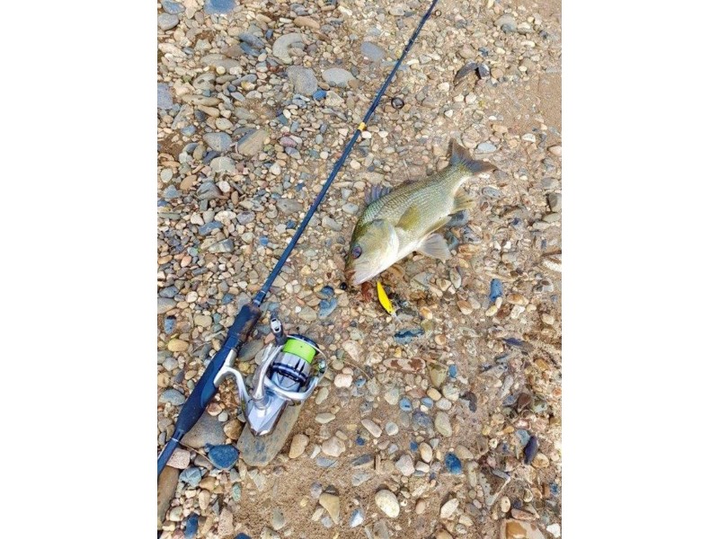 800 Toms Gully Road, Hickeys Creek NSW 2440