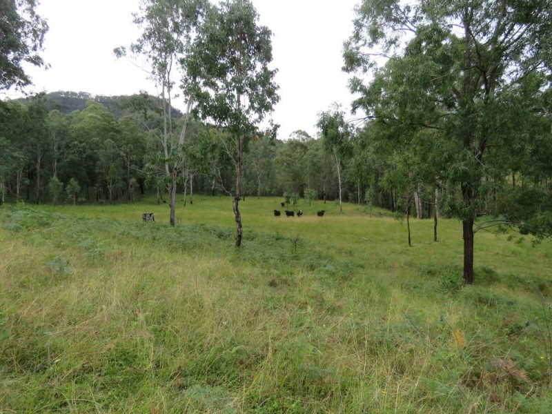 30 Carrai Road, Willi Willi NSW 2440