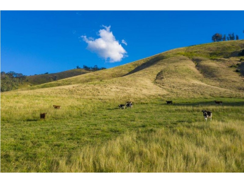 5114 Oxley Highway, Long Flat NSW 2446