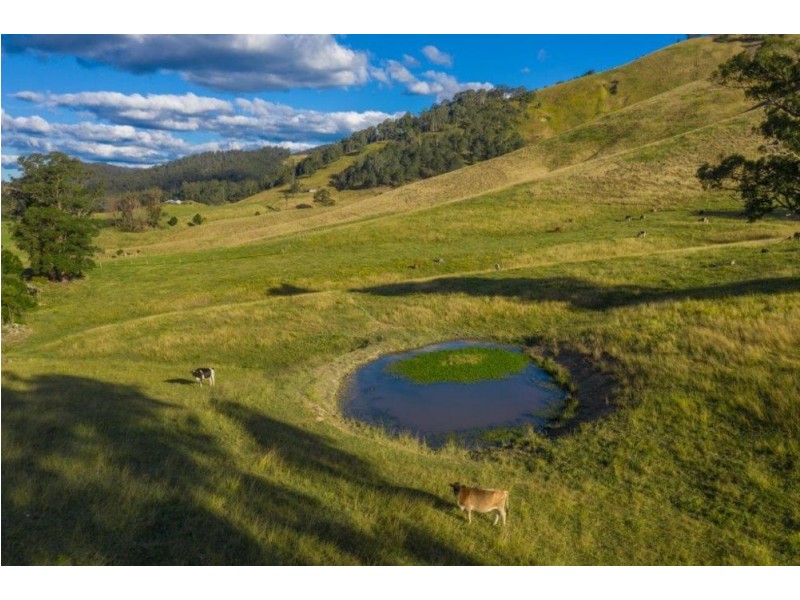 5114 Oxley Highway, Long Flat NSW 2446