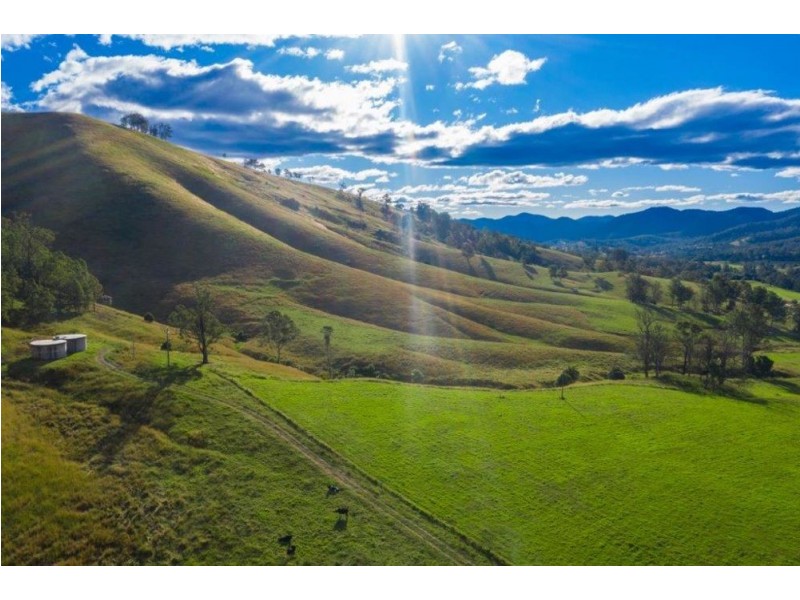 5114 Oxley Highway, Long Flat NSW 2446