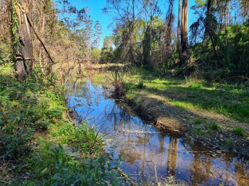 249 Goondari Rd, Burrapine NSW 2447