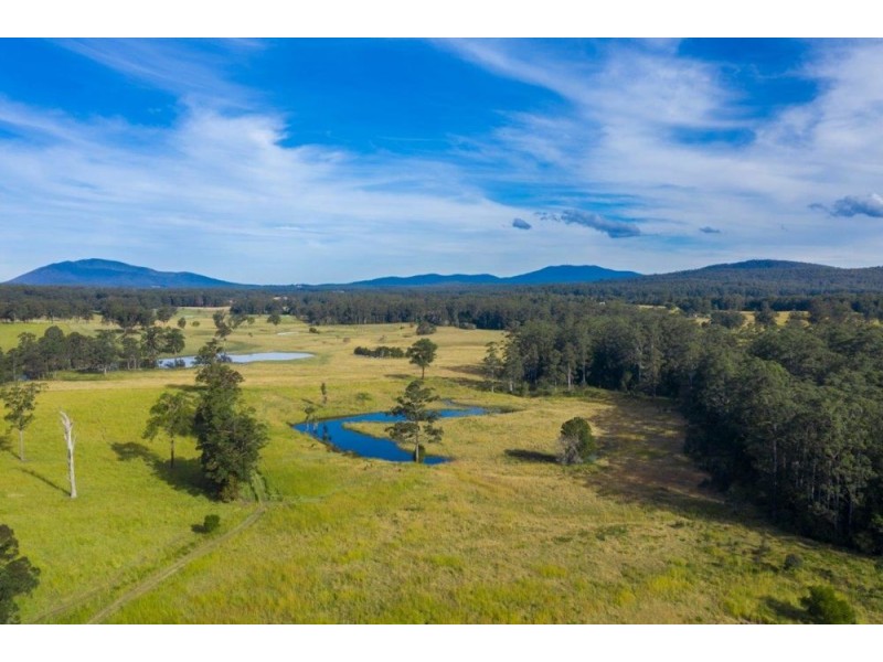 41 Little Bago Lane, Herons Creek NSW 2443