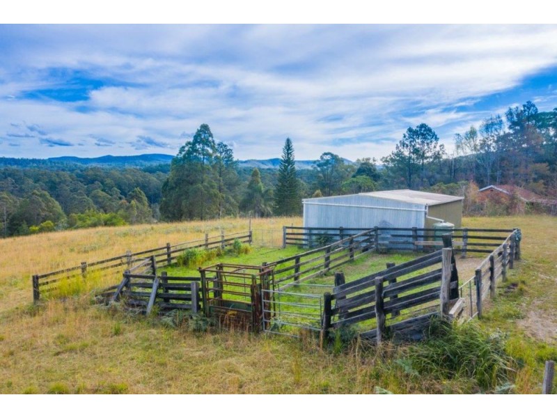 41 Little Bago Lane, Herons Creek NSW 2443