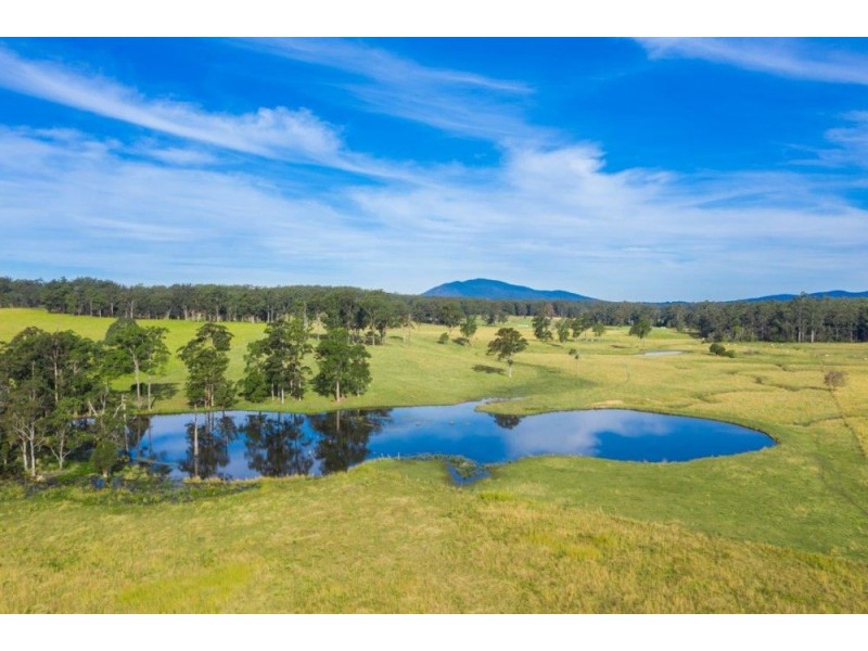 41 Little Bago Lane, Herons Creek NSW 2443