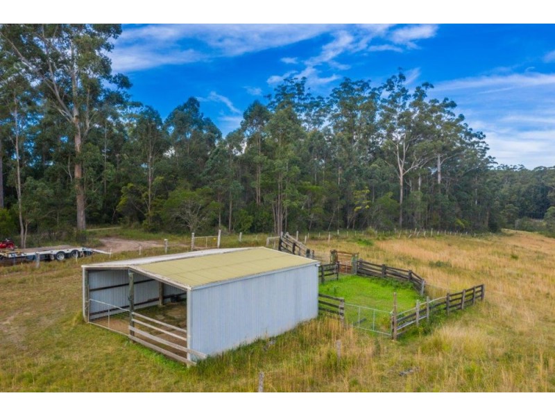41 Little Bago Lane, Herons Creek NSW 2443