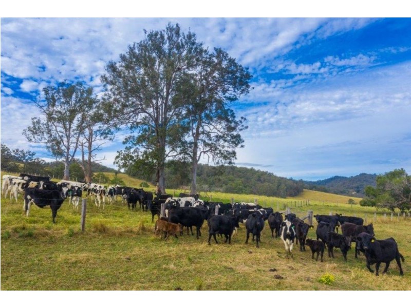 18 YESSABAH ROAD, Yessabah NSW 2440