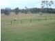 Telegraph Point NSW 2441