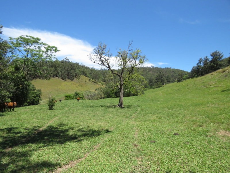 Burrapine NSW 2447