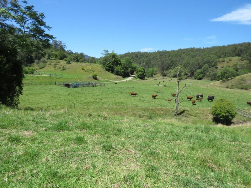 Burrapine NSW 2447