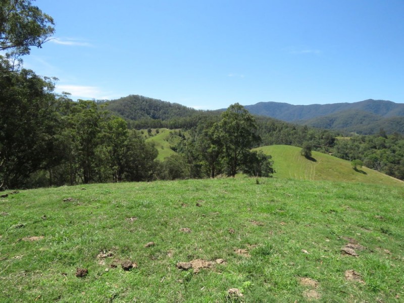 Burrapine NSW 2447