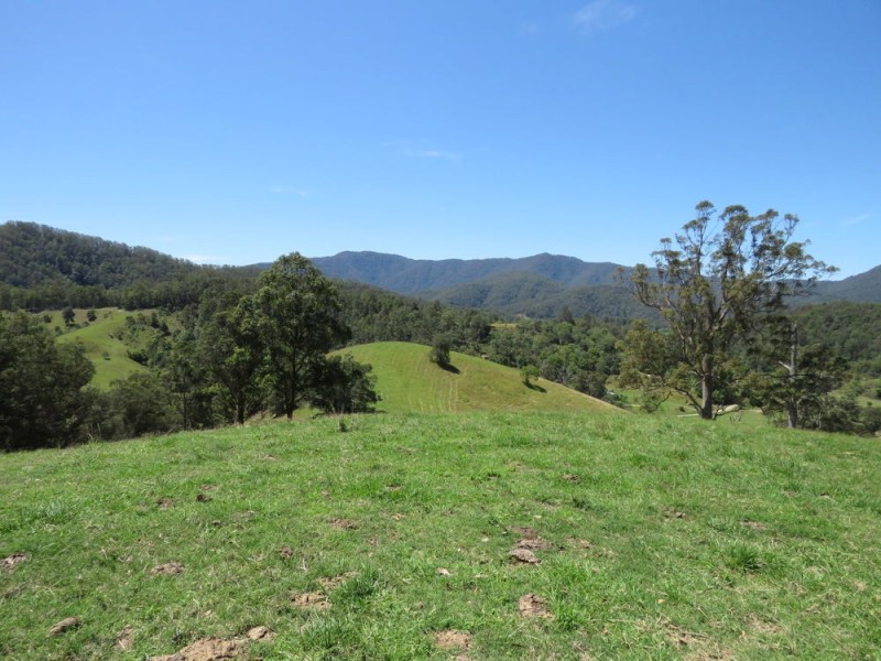 Burrapine NSW 2447