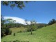 Burrapine NSW 2447