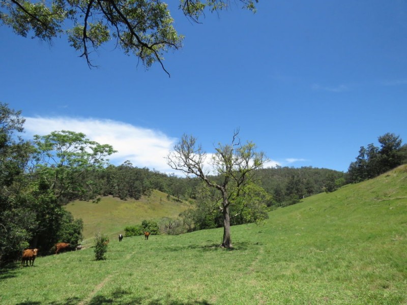 Burrapine NSW 2447