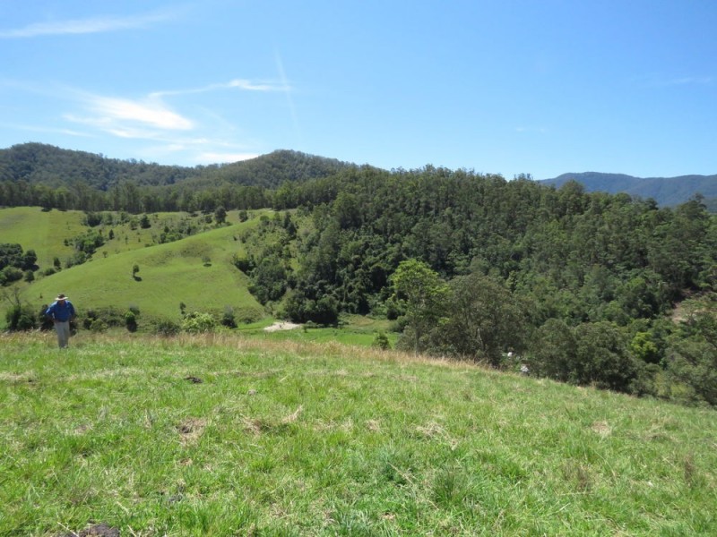 Burrapine NSW 2447