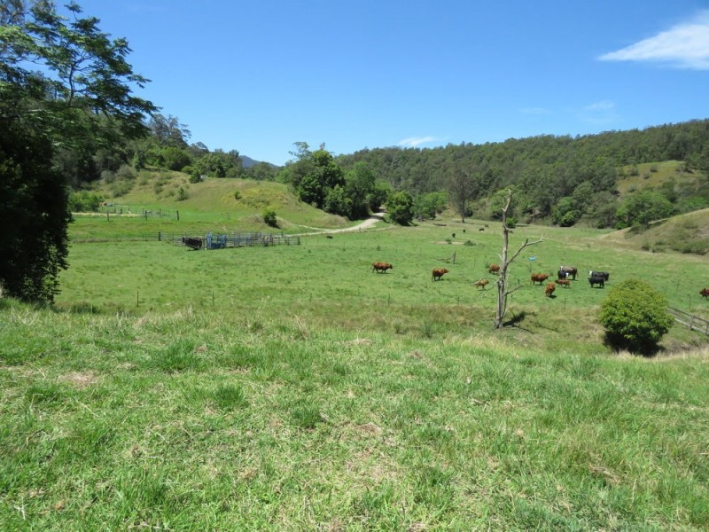 Burrapine NSW 2447