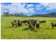 5816 Oxley Highway, Ellenborough NSW 2446