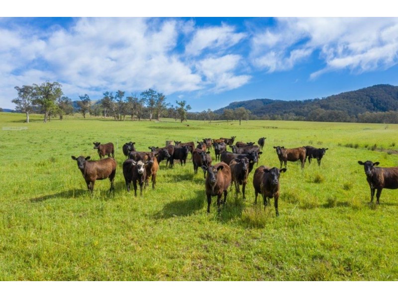 5816 Oxley Highway, Ellenborough NSW 2446
