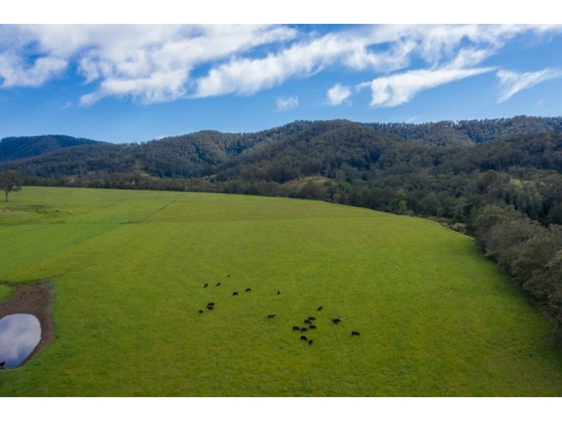 5816 Oxley Highway, Ellenborough NSW 2446