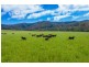 5816 Oxley Highway, Ellenborough NSW 2446