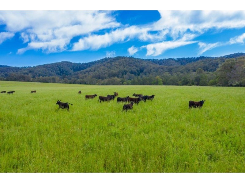 5816 Oxley Highway, Ellenborough NSW 2446