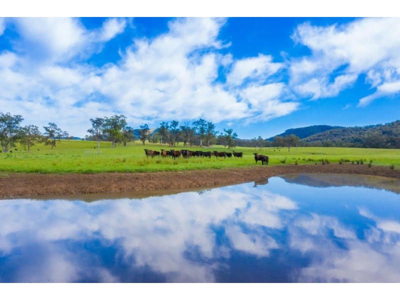 5816 Oxley Highway, Ellenborough NSW 2446