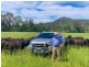 5816 Oxley Highway, Ellenborough NSW 2446