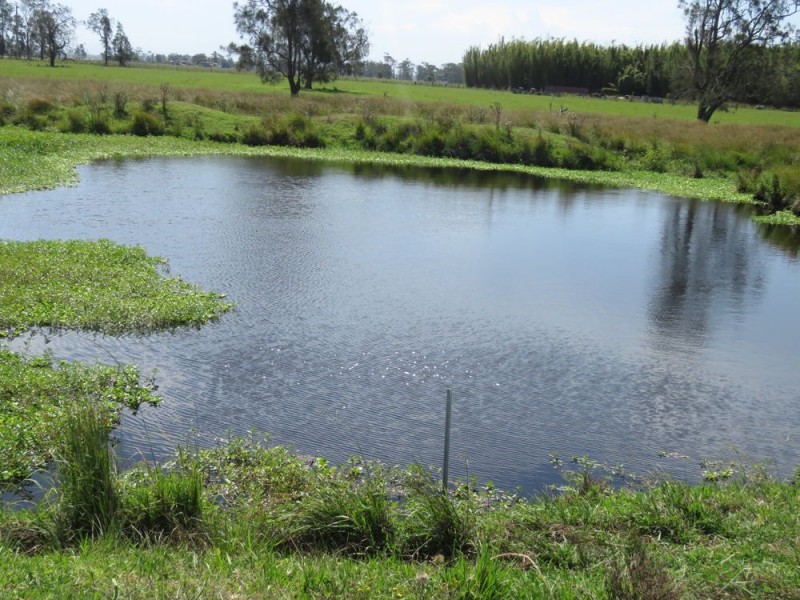 Lot 133 Old Station Road, Verges Creek NSW 2440