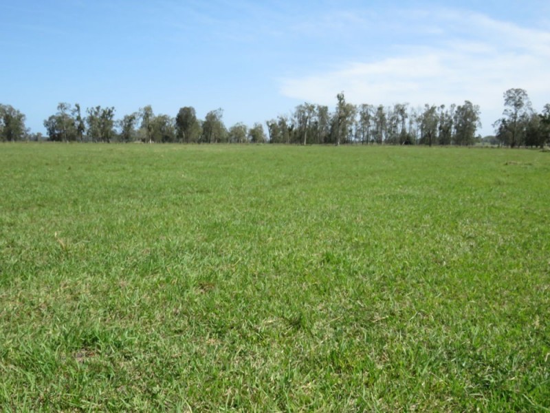 Lot 133 Old Station Road, Verges Creek NSW 2440