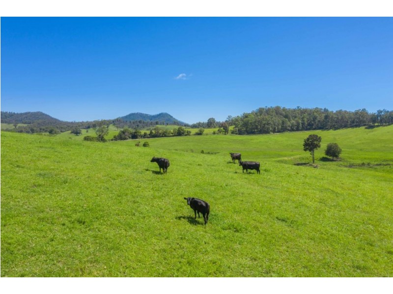 83 North Bank Road, Yarranbella NSW 2447