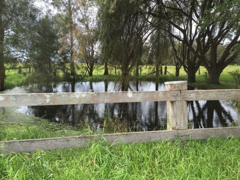 2088 SOUTH WEST ROCKS RD, Kinchela NSW 2440