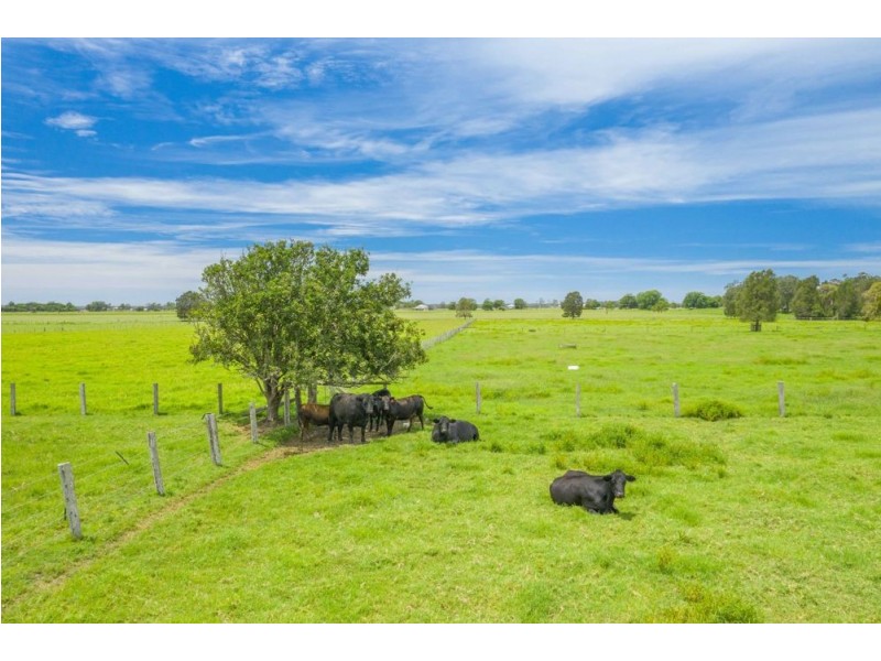 2088 SOUTH WEST ROCKS RD, Kinchela NSW 2440