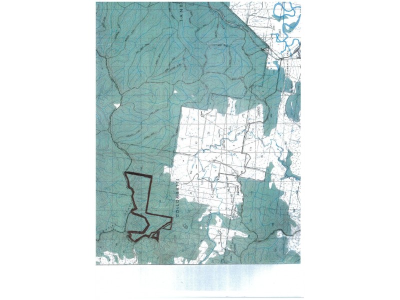 Lot 592 Briggs Tower Rd, Tamban NSW 2441