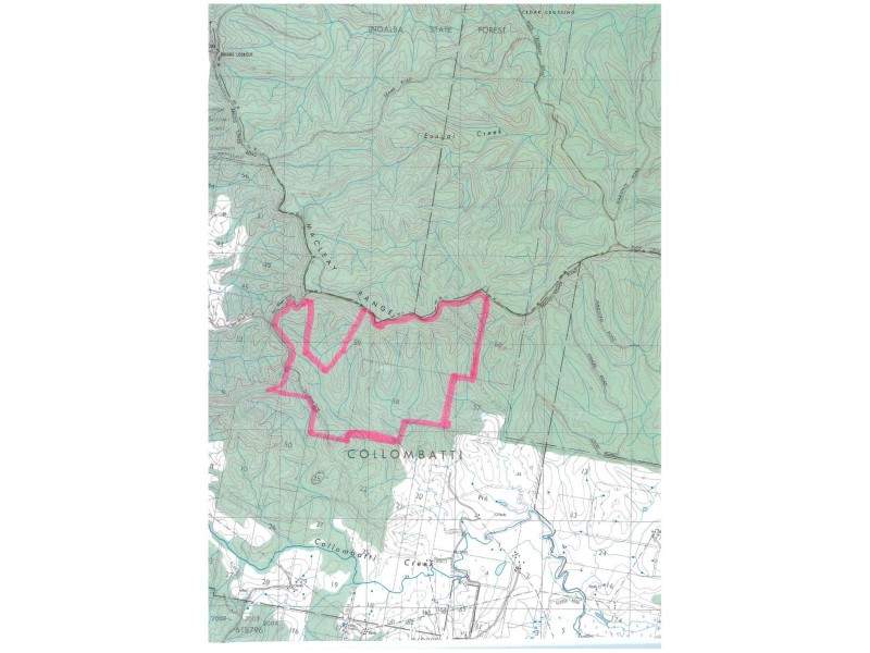 Lot 592 Briggs Tower Rd, Tamban NSW 2441