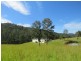 3002 Pappinbarra Rd, Pappinbarra NSW 2446