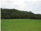 3002 Pappinbarra Rd, Pappinbarra NSW 2446